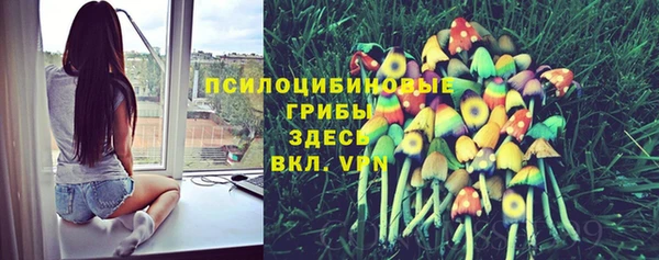 молекула духа Алексеевка